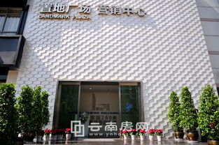 置地广场夏季踩盘销售篇 预计8月中下旬开盘